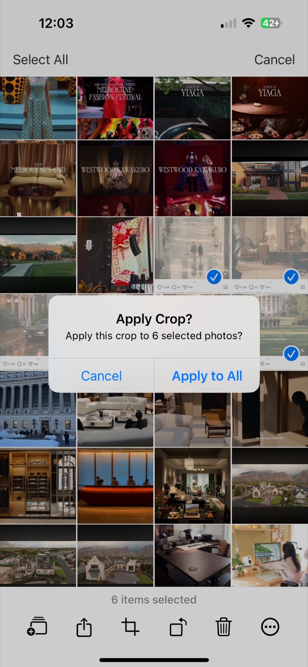 Opla crop confirmation dialog asking to apply a crop to six selected photos